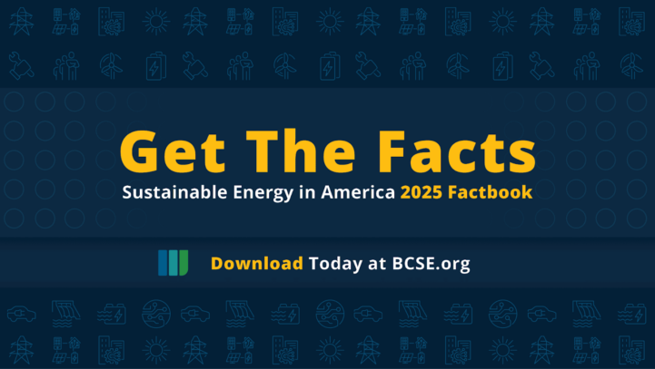 New Energy Fact Book Released